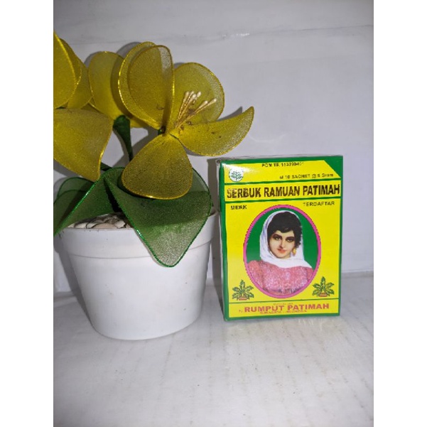 

rumput fatimah jamu