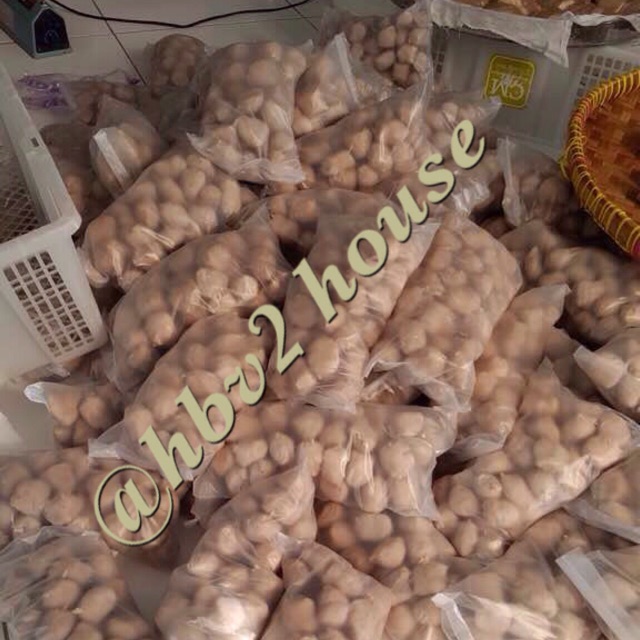 Hbv2house store logo