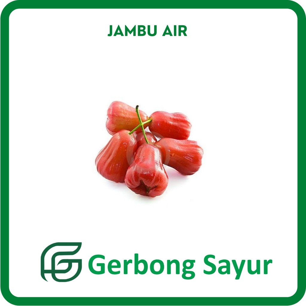 

Buah Jambu Air Segar - 1 Kg