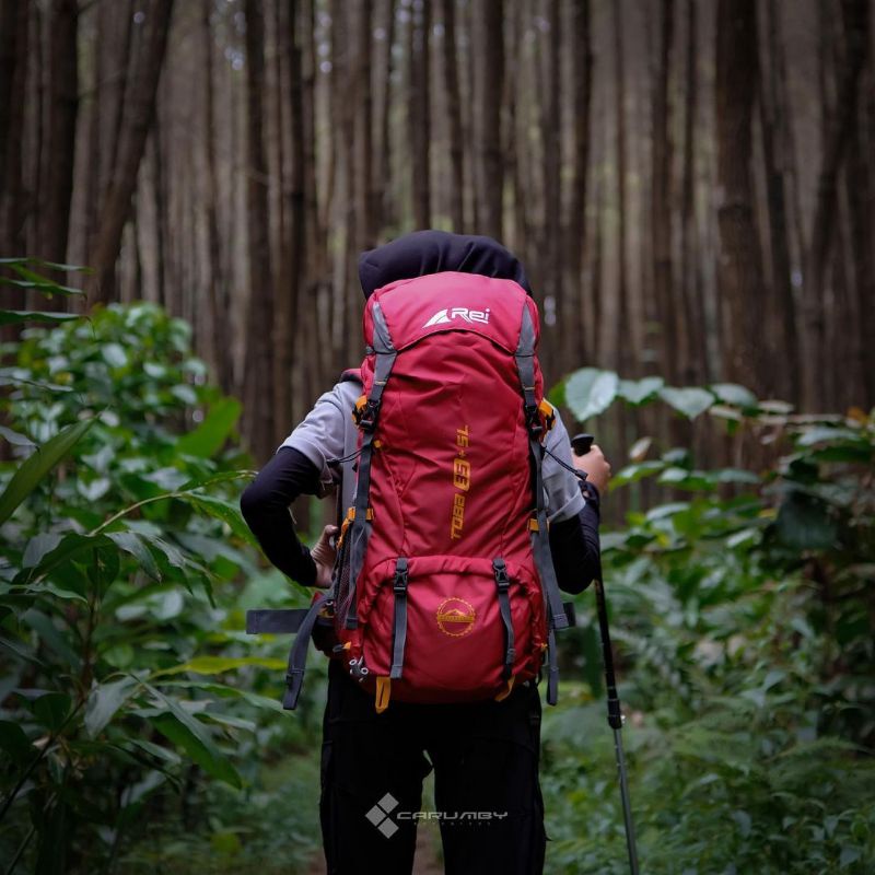 TAS CARRIER AREI REI TOBA 40L 35+5L 60L | SEMI CARRIER ORIGINAL ORI