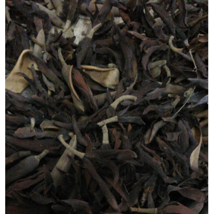 kembang bunga kantil putih cempaka / white champaca kering 100gr