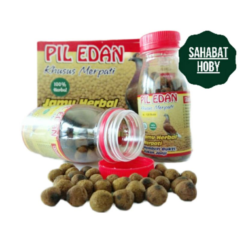 PIL EDAN MERPATI JAMU MERPATI KOLONG