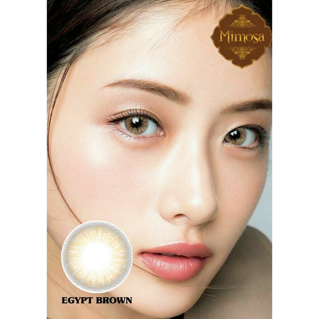 Softlens MIMOSA FLAT DIA 14.50mm NORMAL MINUS Brown Grey Black Blue (-0.50 s/d -3.00)/Lensa  Kontak/BS