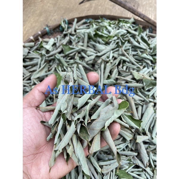 

Daun kandri kering / daun kanyere kering asli-az