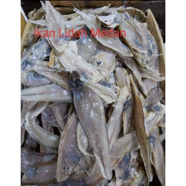 

Ikan Lidah Medan