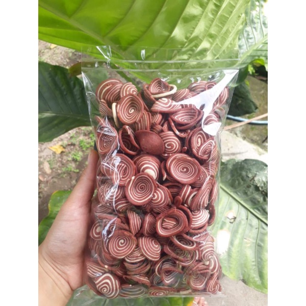 

KUPINGGAJAH/KUPINGCOKLAT/KUPING