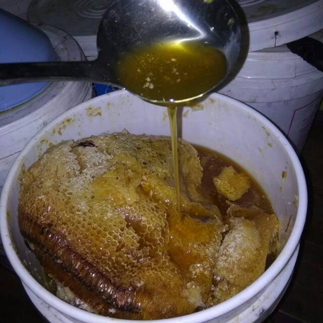 

Madu asli