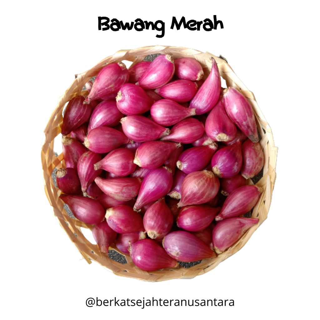 

Bawang Merah // Kemasan 1 kg