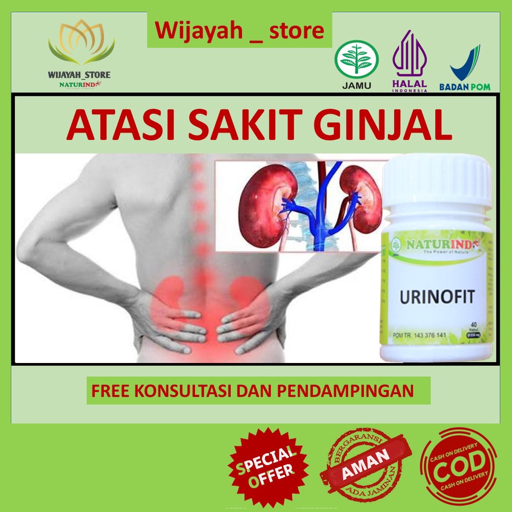 (bisa cod) obat ginjal sakit pinggang urin berbusa bengkak bocor paing ampuh tanpa operasi buat dewa