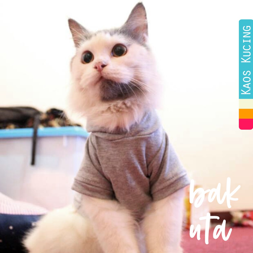 Kaos hoodie saku belakang untuk kucing &amp; anjing /Jual Baju Kucing Terlengkap &amp; Berkualitas size S-XL