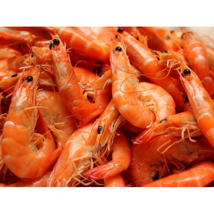 Pelet Amis Hipro 7 / Umpan Ikan Patin, Umpan Ikan Bawal, Ikan Lele