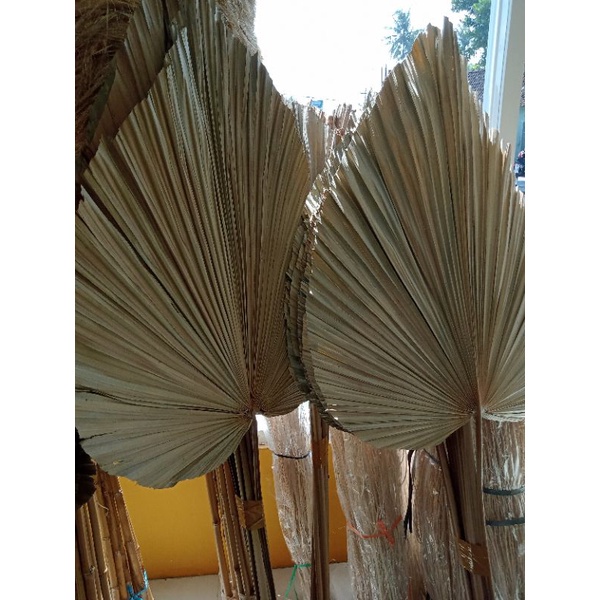 DEKORASI DAUN PALEM KERING Uk - S/ HIASAN DAUN PALEM/ RUSTIC UKURAN S