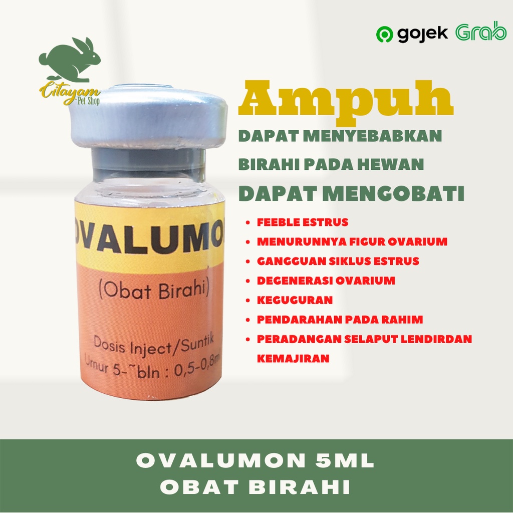 OVALUMON INJEKSI 5ML OBAT BIRAHI KELINCI, KUCING, ANJING, DOMBA, SAPI, BABI FREE SUNTIKAN