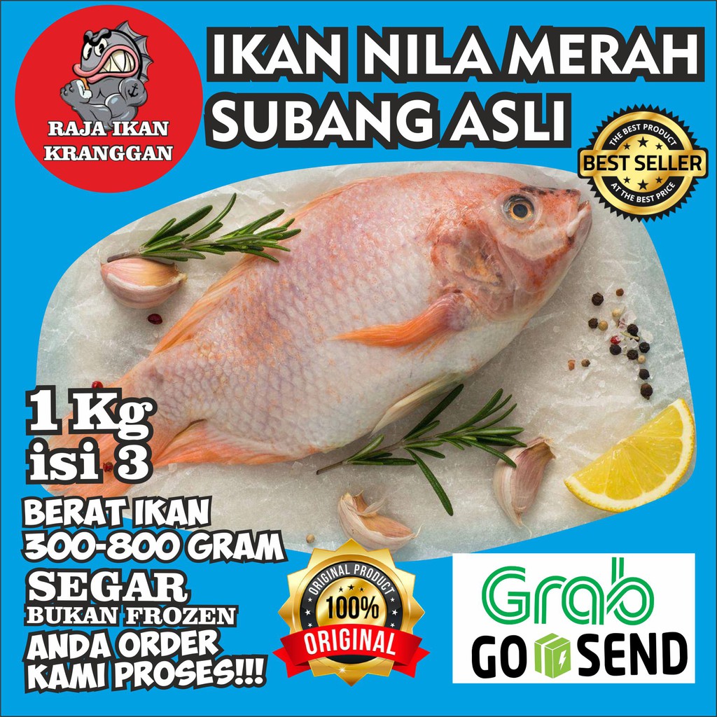 

Ikan Nila Merah Subang Segar Ikan Nilla Bangkok ikan nila hidup 1kg