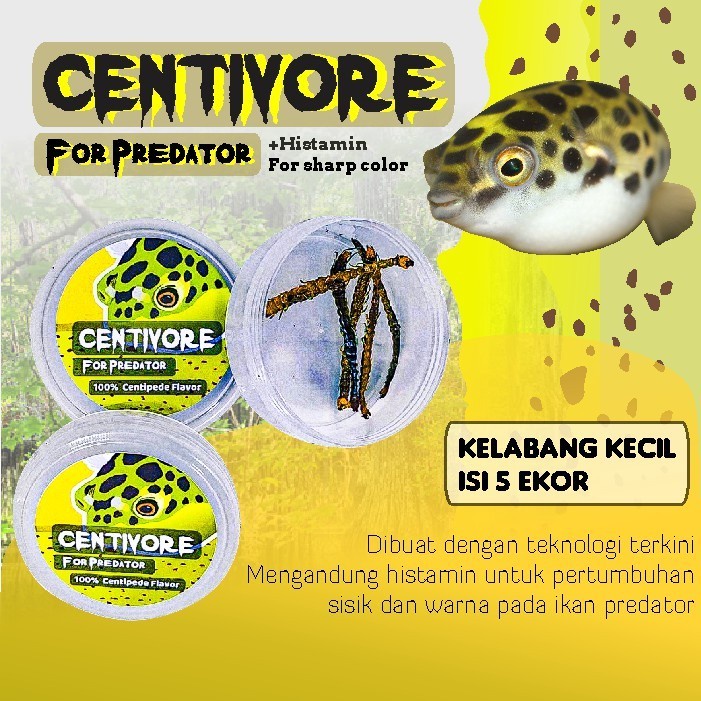 CENTIVORE 5 Ekor - Pakan KELABANG Makanan Ikan Predator dan Lainnya