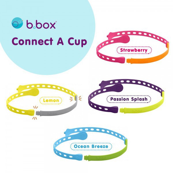 B.Box Connect A cup