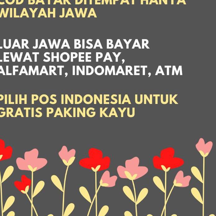 spesial❤ GITAR AKUSTIK | GITAR AKUSTIK YAMAHA | GITAR | GITAR YAMAHA | GITAR PEMULA | GITAR STRING termurah se indonesia