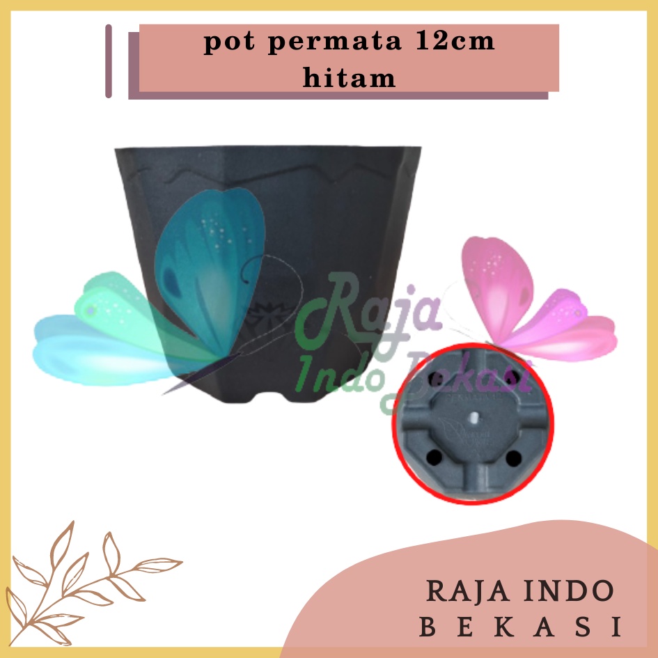 Rajaindobekasi Pot Permata 12 Hitam DA 10,5cm Garden Of Love Pot Plastik Kaktus Murah Uk Mirip Pot Tawon 10 12 cm