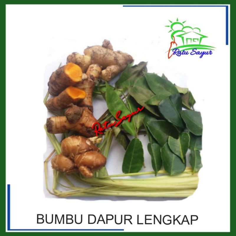 

BUMBU DAPUR LENGKAP/Ratu Sayur .id/Cikeas