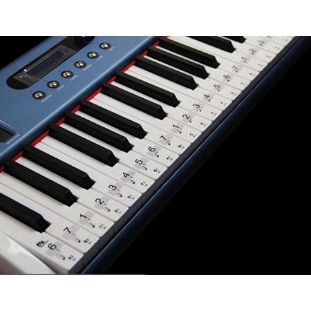 

Piano Stickers - Stiker Piano Warna Hitam Transparan (88 key)