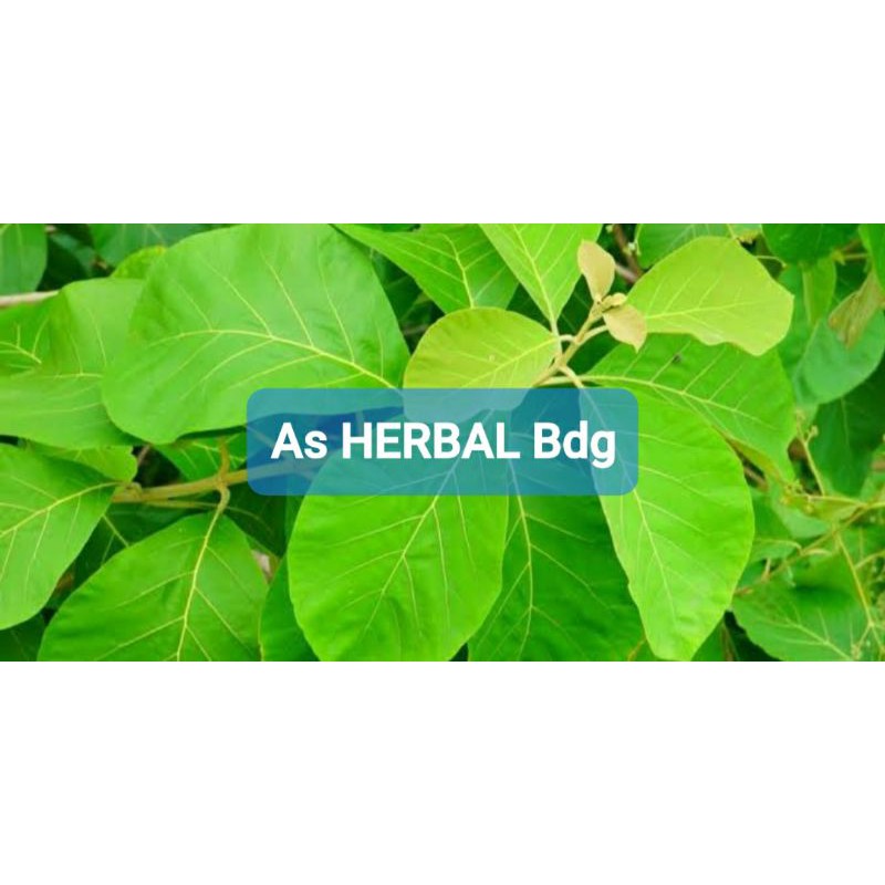 

Daun Jati Asli Jati Jawa Segar 500 gram-az