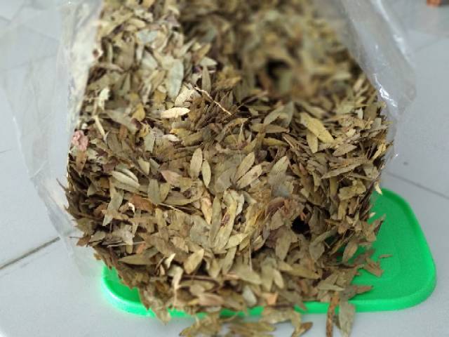 (60gr) Teh Daun Jati Cina Jati Belanda Pelangsing Alami Diet Herbal Teh Peluntur Lemak 40gr