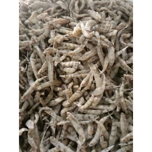 

IKAN PENJA 500gr (1/2 kg)