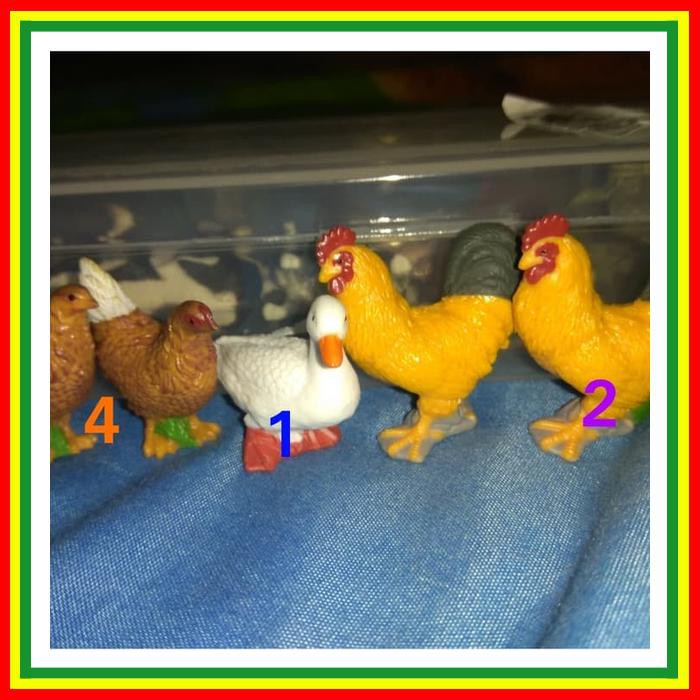 840+ Gambar Binatang Ayam Jantan Terbaru