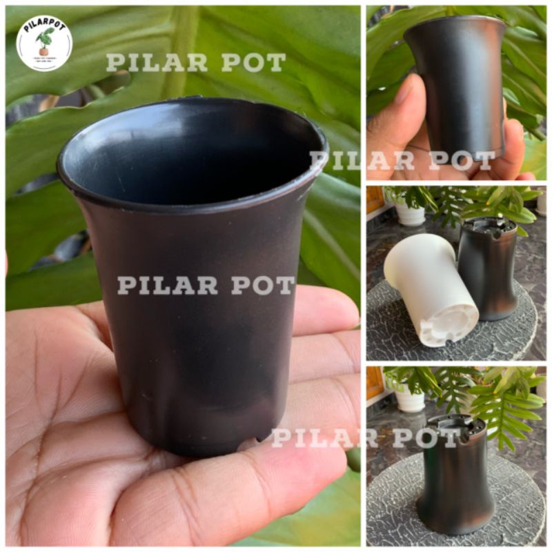 pot bunga tanaman nkt sanse 08cm berkualitas - NKT SANSE 08