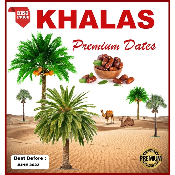 

Kurma Khalas Premium 500gr