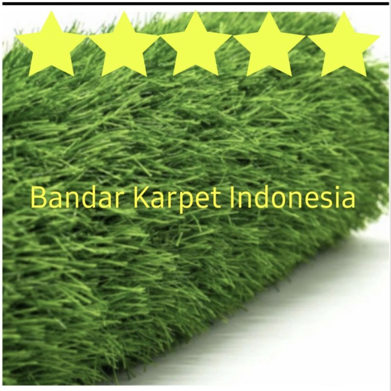 RUMPUT SINTETIS PREMIUM SWISS 2 CM TERMURAH(harga pabrik)