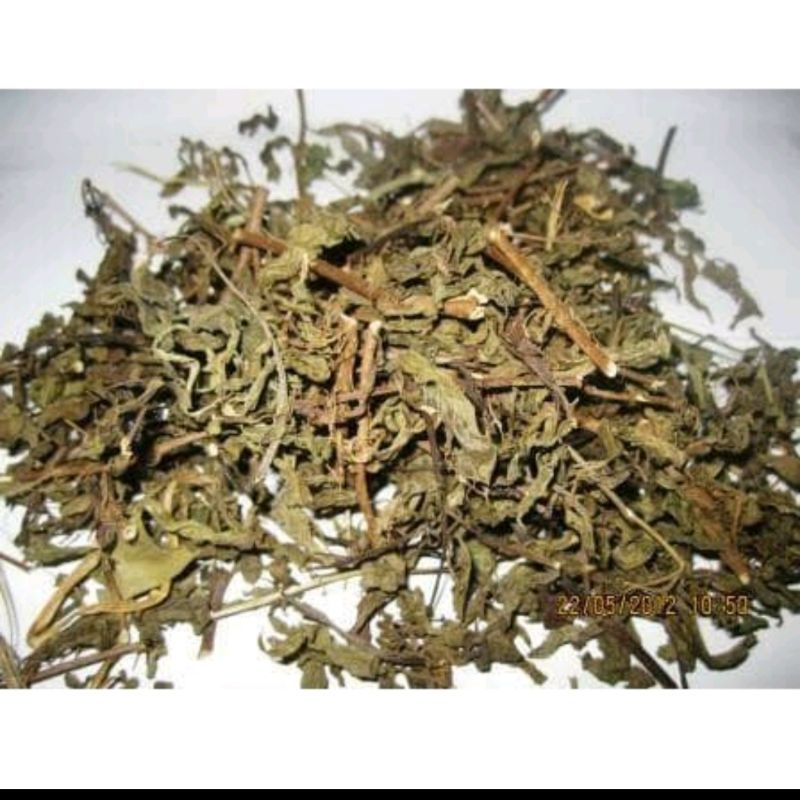 

DAUN KUMIS KUCING KERING OBAT BATU GINJAL DAN INFEKSI SALURAN KEMIH 500 gram