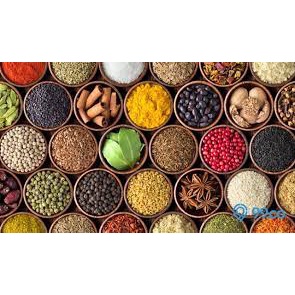 

Aneka Rempah Bumbu Dapur Serba Ada