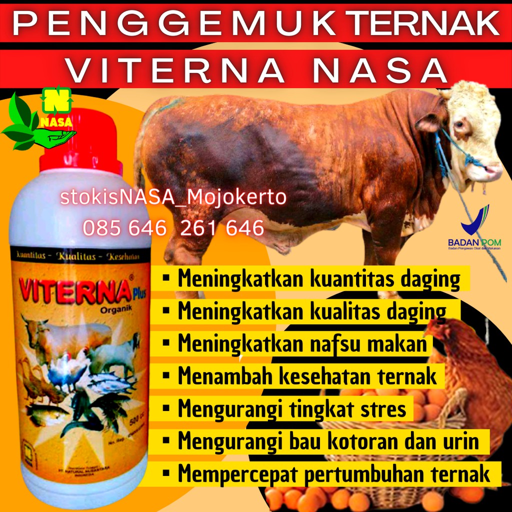 VITERNA NASA 500CC - VITAMIN TERNAK KHUSUS PETANI PETERNAK - VITAMIN PENGGEMUK SAPI BABI KAMBING