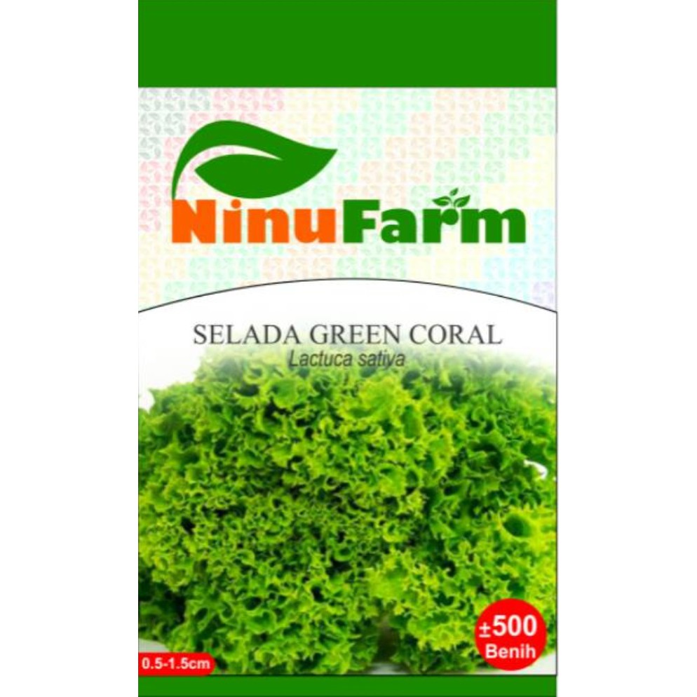 Benih Bibit Daun Sayur Selada Keriting/Selada Green Coral Ninufarm (500 Butir)