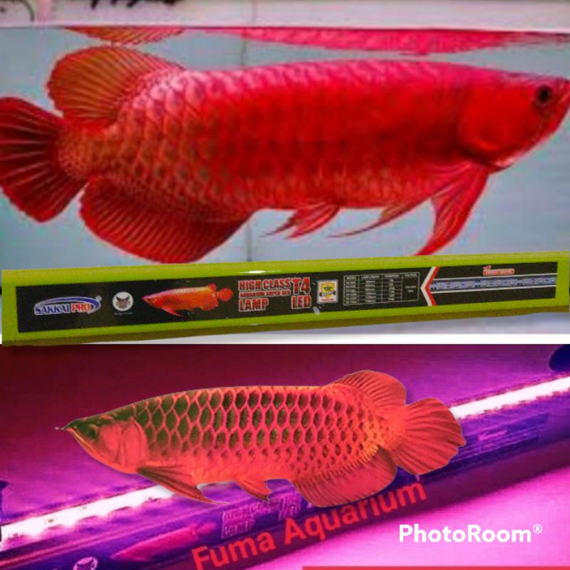 Lampu Aquarium HIGH CLASS T4 Sakkai pro SR 10000 13watt Lampu Led Tanning Aquarium Arwana Tanning