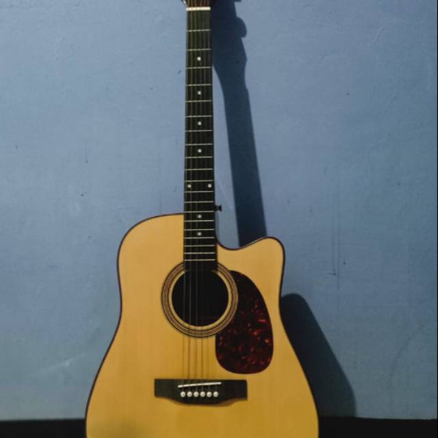 Gitar acoustic skylark