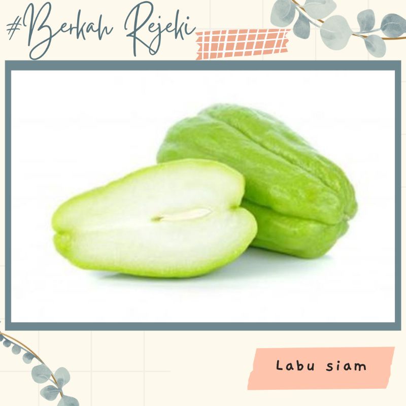 

LABU SIAM/LABU ACAR/MANISA 1KG SAYURAN SEGAR
