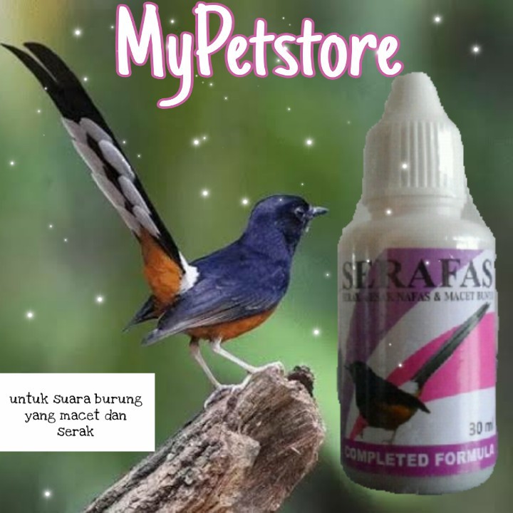 Serafas Obat Serak Sesak Nafas Macet Bunyi Burung Good Product Shopee Indonesia