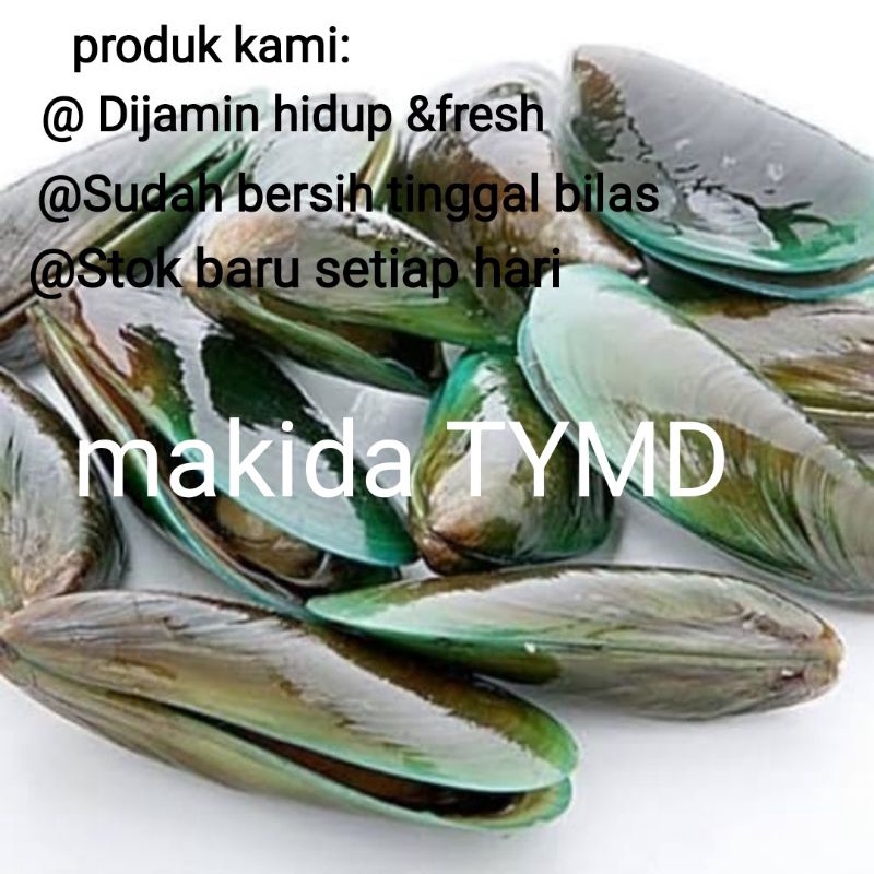 

kerang hijau fresh dan HIDUP 1 KG