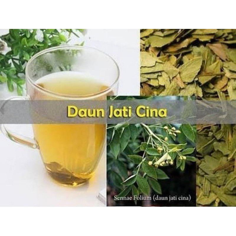 

Teh Daun Jati Cina