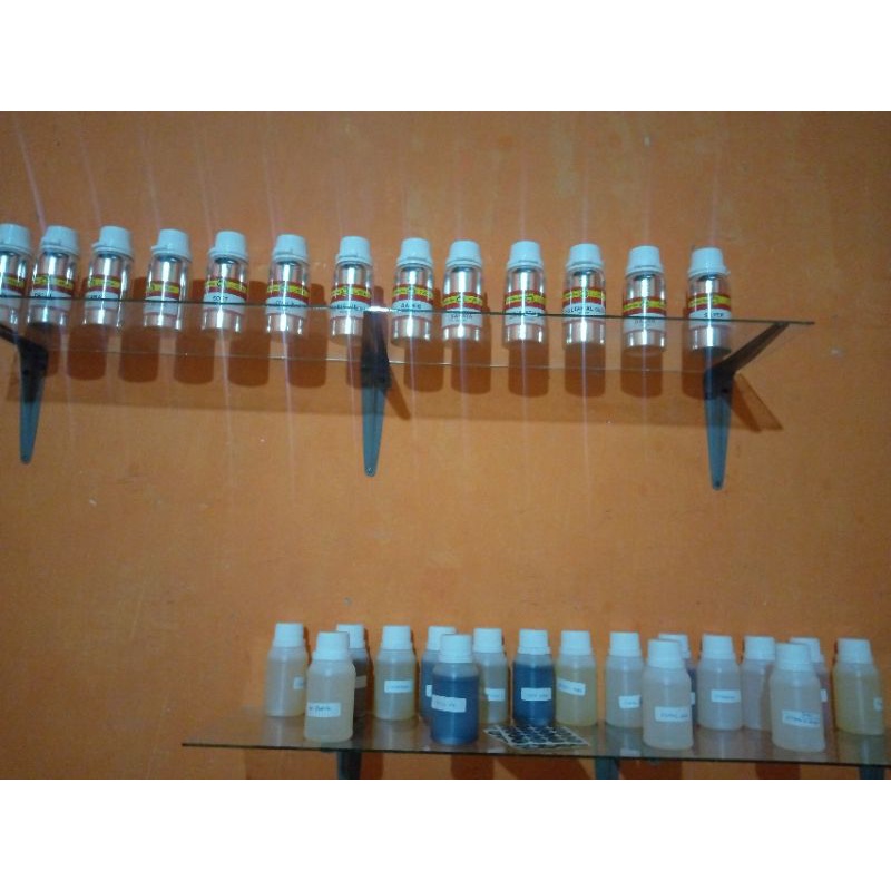 bibit minyak wangi