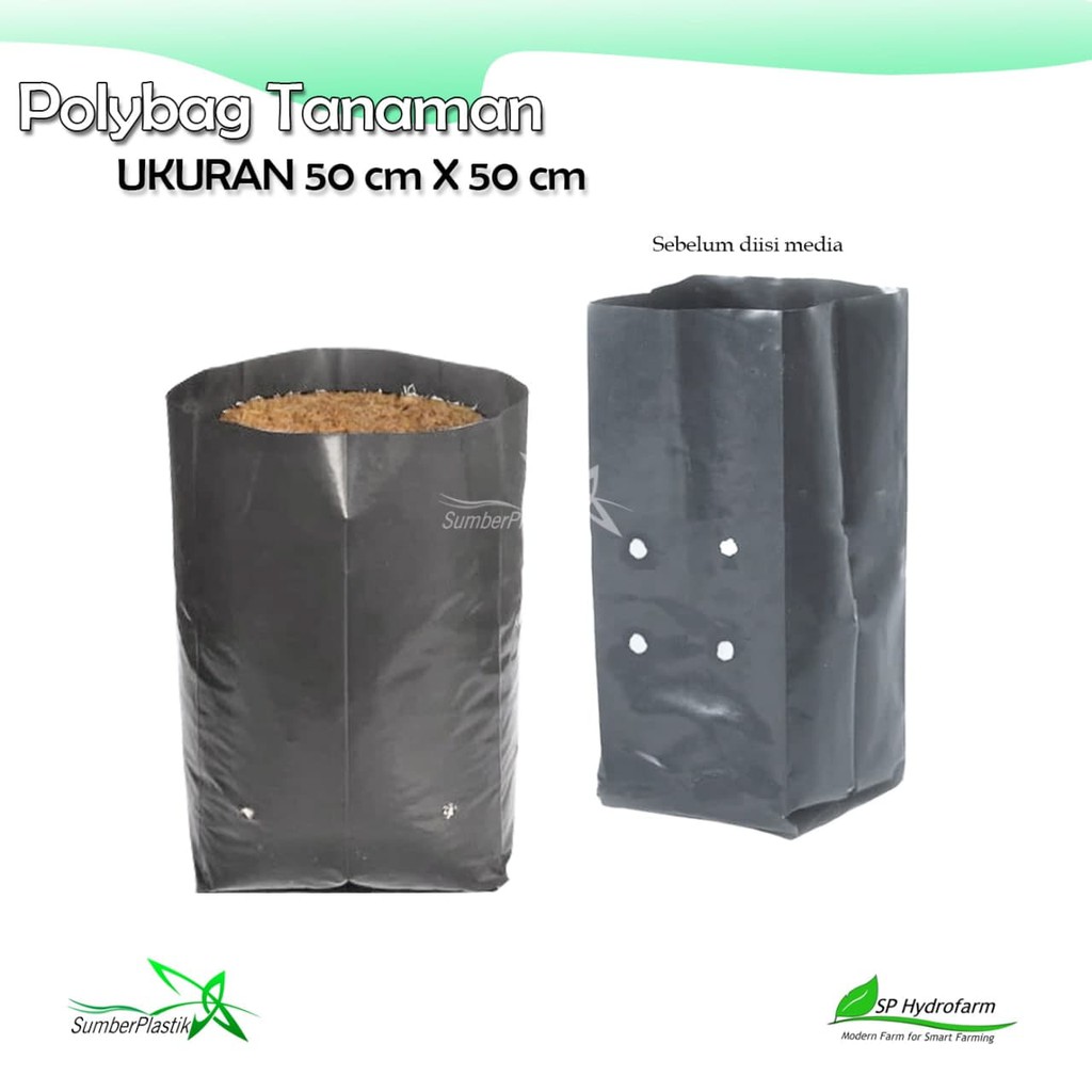 Polybag 50 x 50