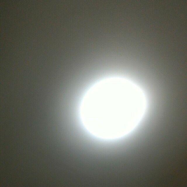 Dettol Pembersih Lantai 700ml All Var