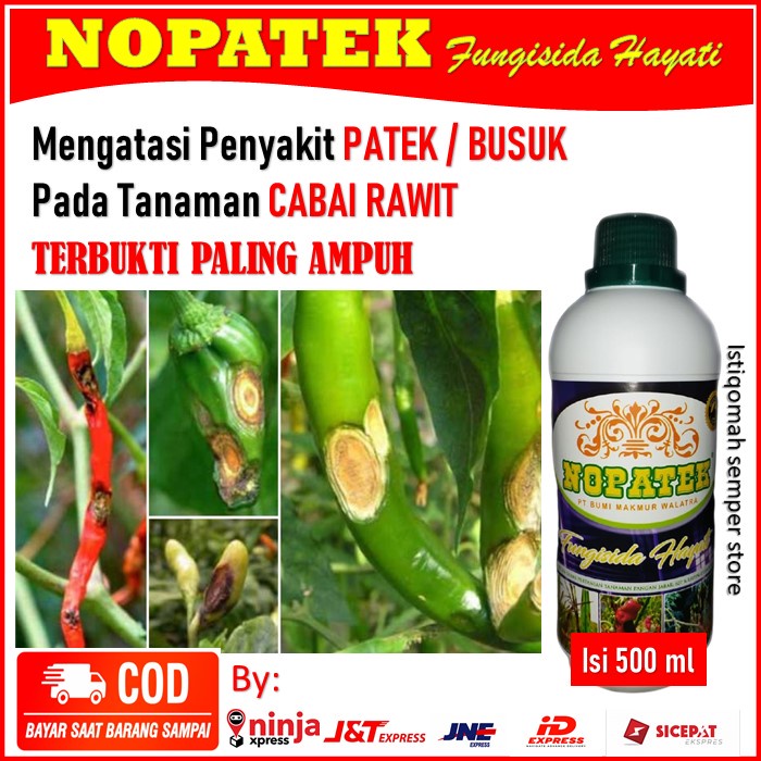 Obat Patek Cabe NOPATEK - NOPATEK Fungisida Hayati Obat Patek Cabe - Obat Patek Cabe Rawit Paling AM