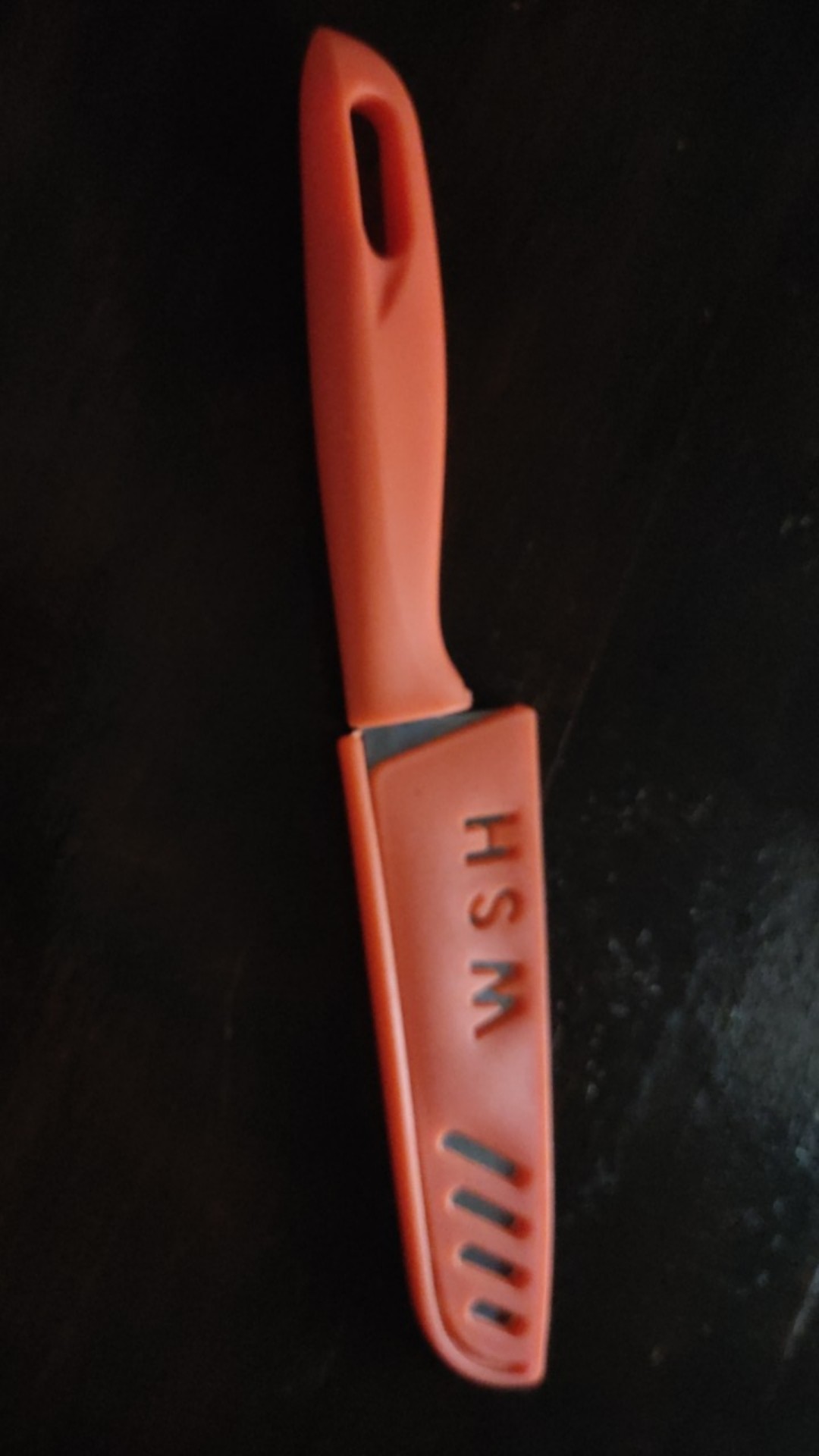 Pisau Buah Cover. Pisau Dapur Cover Stainless Uk.23 Cm Uk.besar