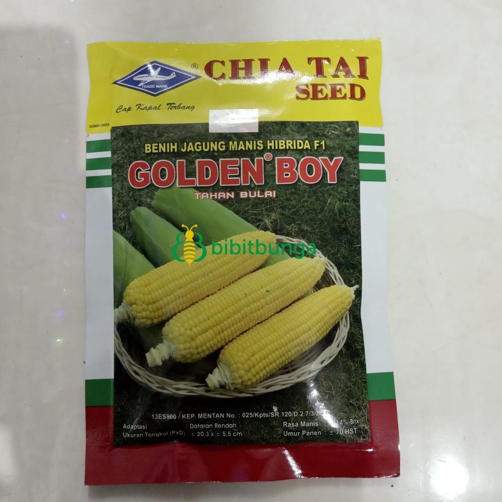 Benih Bibit Jagung Manis Golden Boy 250gram Biji Hibrida Kapal Terbang
