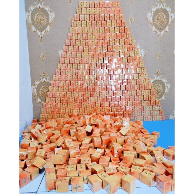 bibit yellow 30gr YSC 100% original