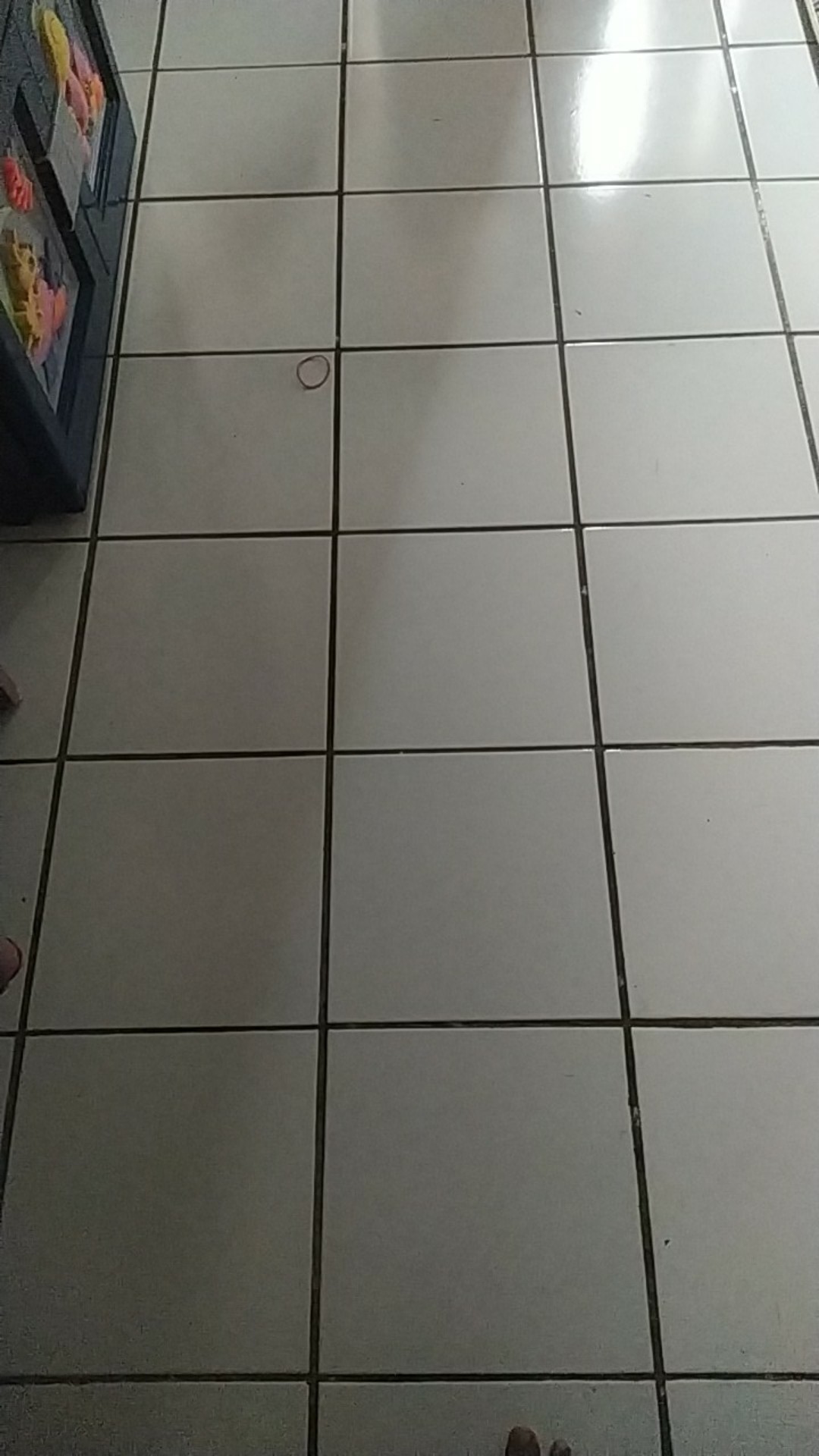 Carbon Brush Bosch Gws 060 Original !!