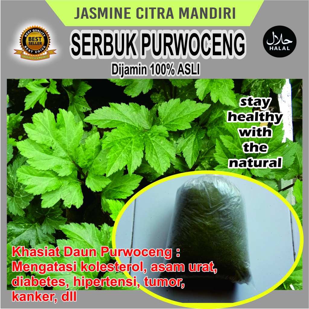 

Serbuk Purwoceng Vitalitas Pria